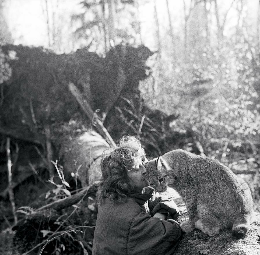 Pickaxe84199830's tweet image. #blackandwhite #blackandwhitephotography #Bialowieza
 © Lech Wilczek (1930-2018) - Poland
Simona Kossak (1943-2007), biologist and Agatka