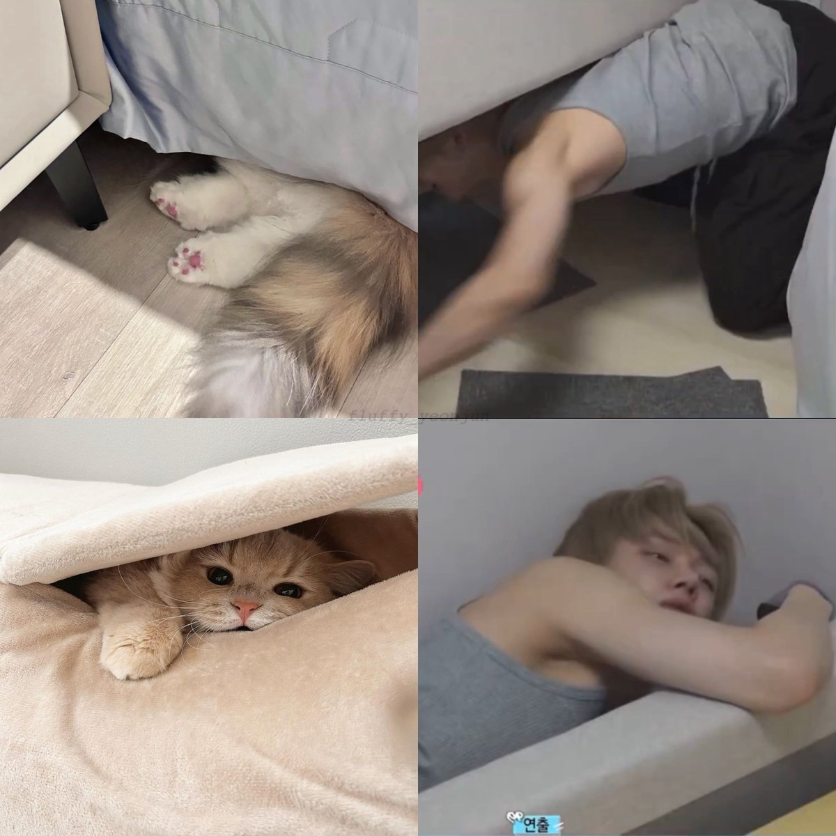 🍼uwu y쭌 우유🐾🏀 tweet media