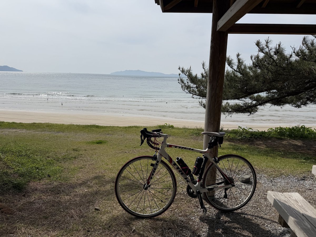 俊作青島 tweet media