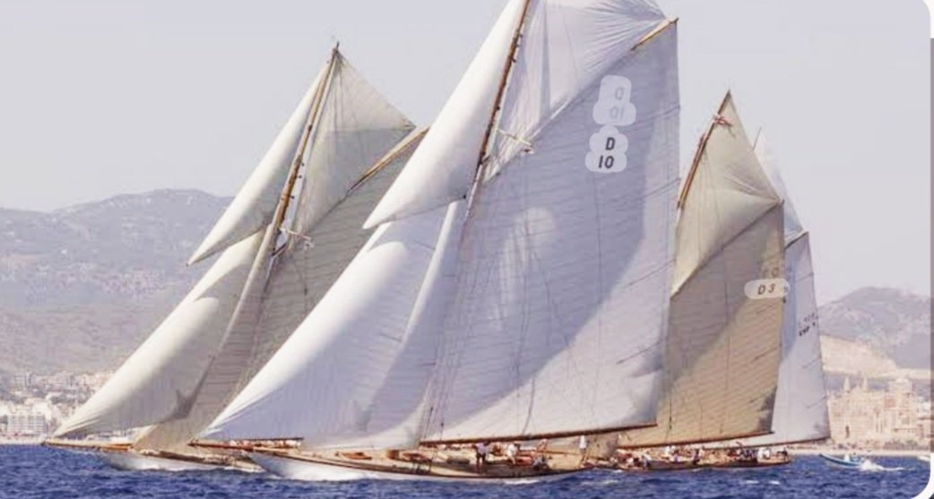 galatea tweet media