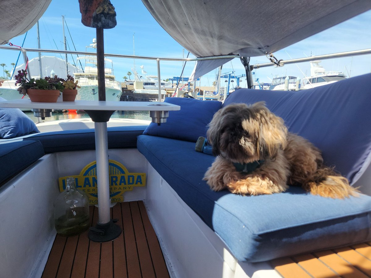 DrMuradAbel's tweet image. Bought Cheap, Paid in Effort: Life with a Sailboat and a Salty Dog      
#sailing
academic-capital.com/2026/05/bought…