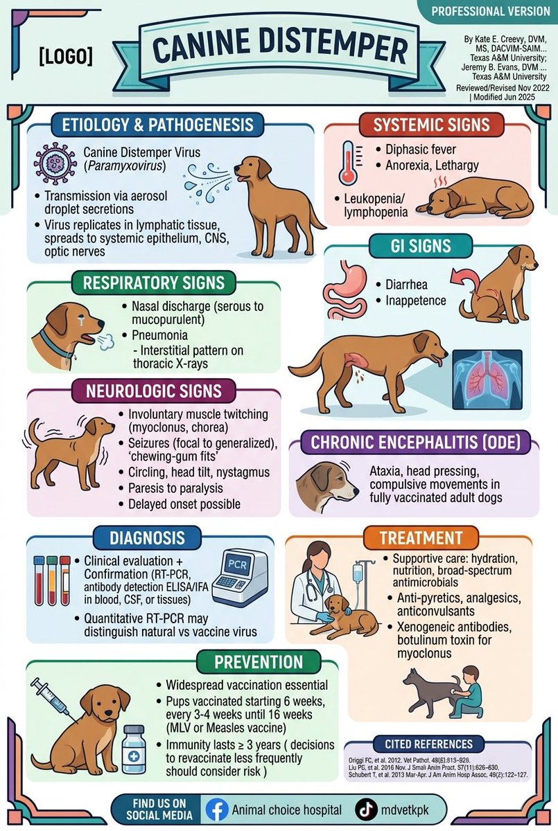 Muhammad676268's tweet photo. Canine distemper disease #canine https://t.co/gqGguqgd84