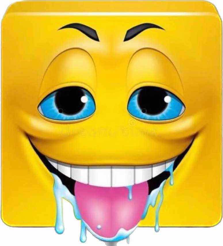 🐝 Bee 🐝 tweet media