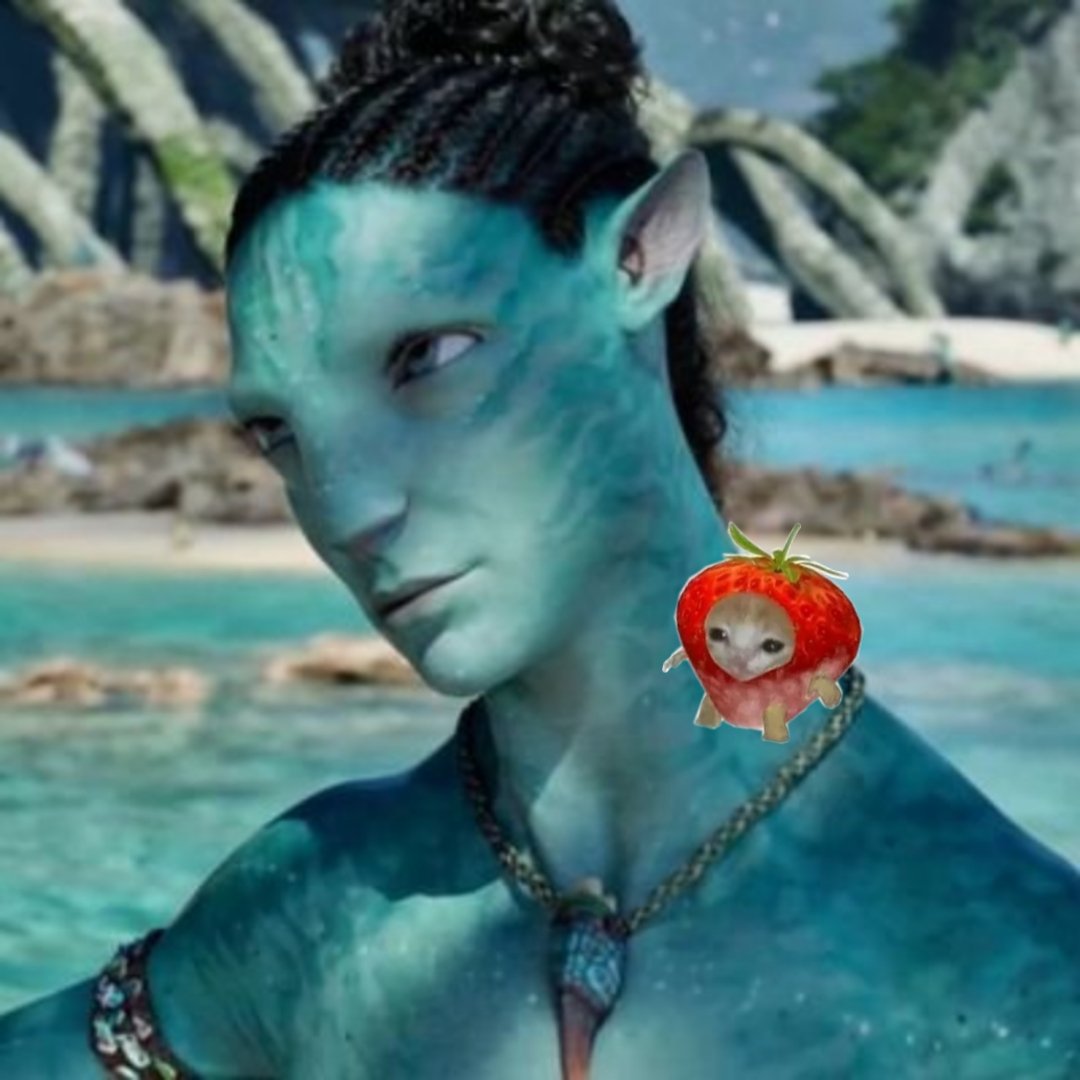 𝑊𝑖𝑜𝑛 '𝑒𝑣𝑎𝑛 tweet media