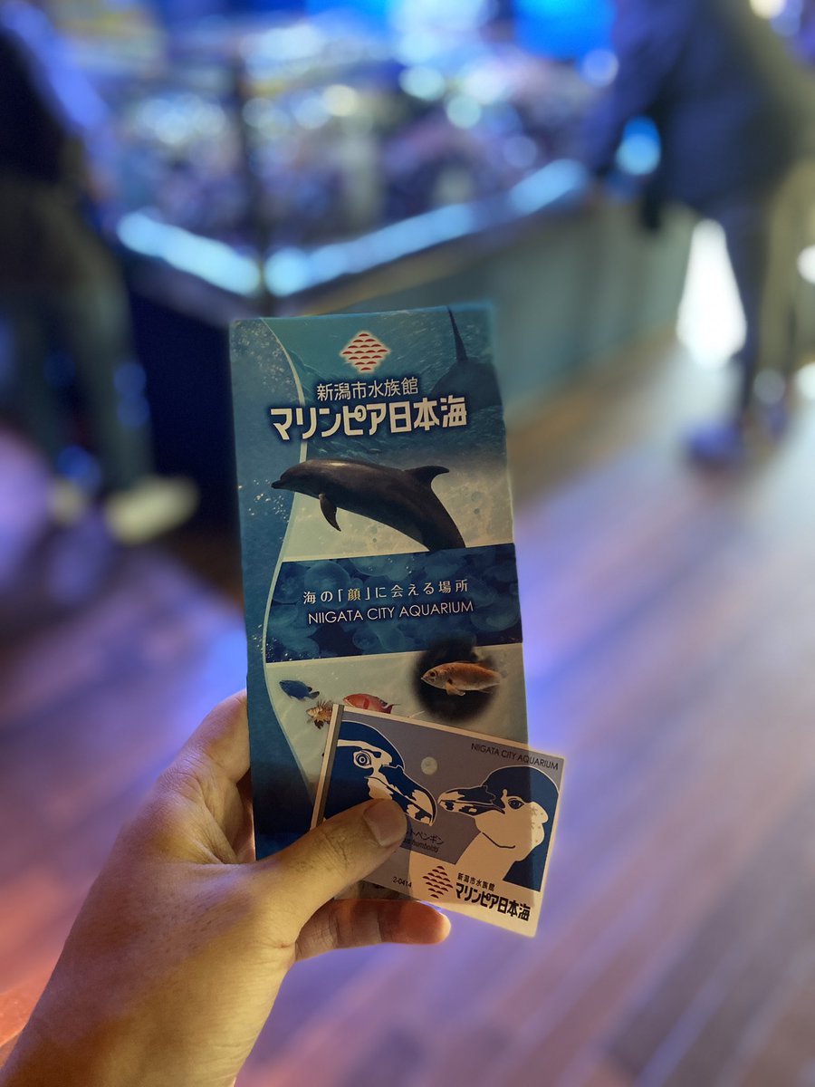 Aditto6156's tweet photo. 新潟市水族館マリンピア日本海
イルカショーの見せ方が最高。狭くても工夫がいっぱいあった。水は結構かかる。

特にカマイルカの企画展、凄く感銘を受けた。ちょっと泣きそうだったよ（ ;  ; ） https://t.co/W6Tkbph2cD