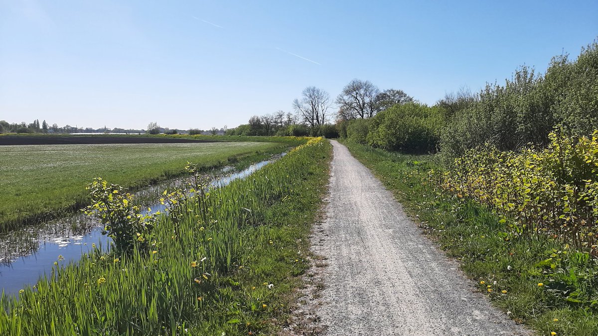 Ga Wandelen tweet media