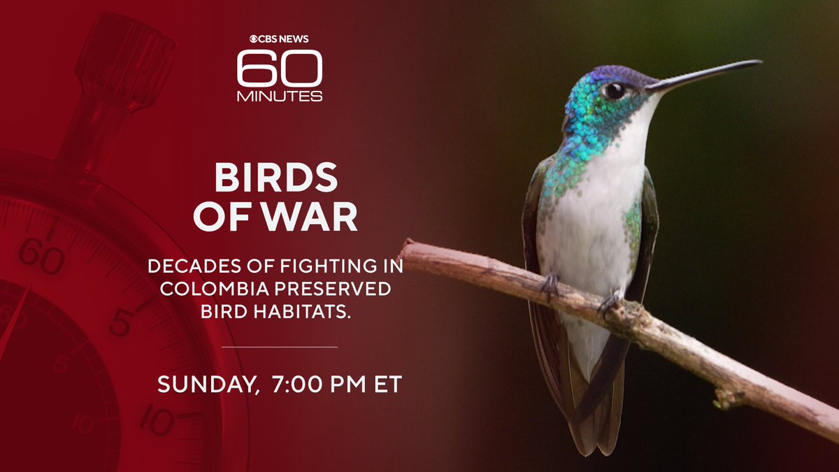 60 Minutes tweet media
