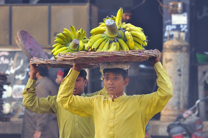 geonews_english's tweet image. Young peddlers sell bananas in streets of Multan

📷: APP

Visit our website: geo.tv

#GeoNews