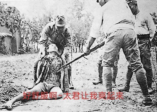 泽东近平刃支记 tweet media