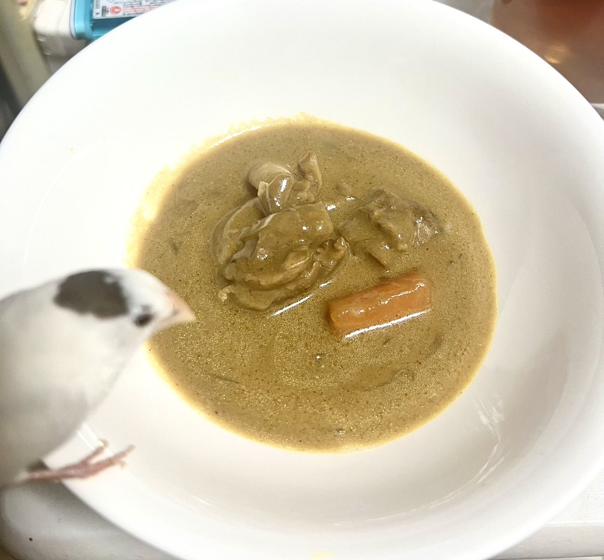 フランブルーメ tweet media