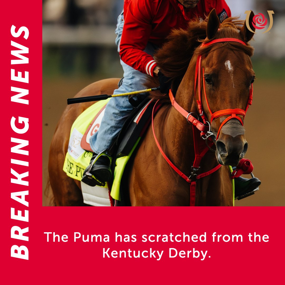 Kentucky Derby tweet media