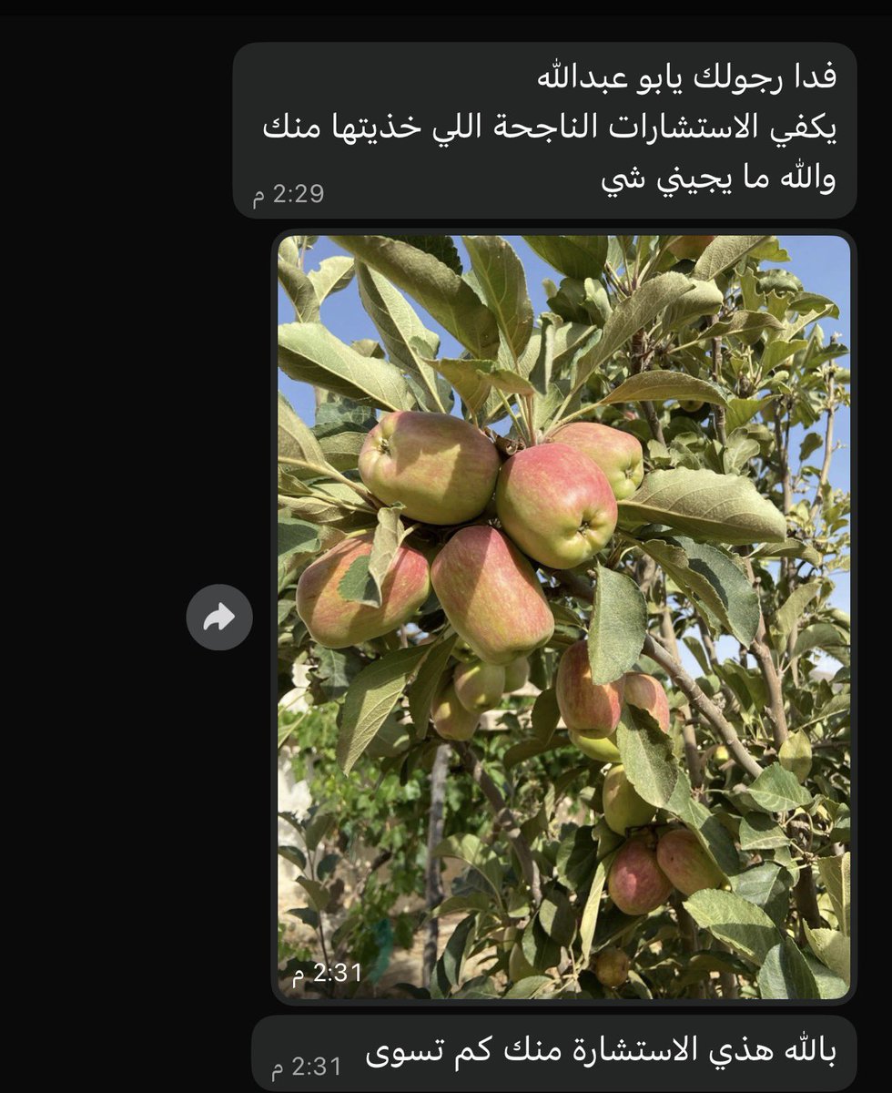 سعيد السهيمي tweet media