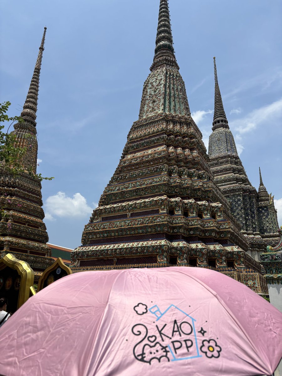 แมวข้างบ้าน 🐈‍⬛ tweet media