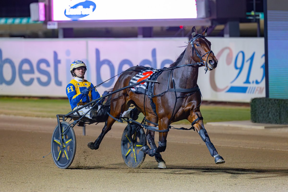 Club Menangle tweet media
