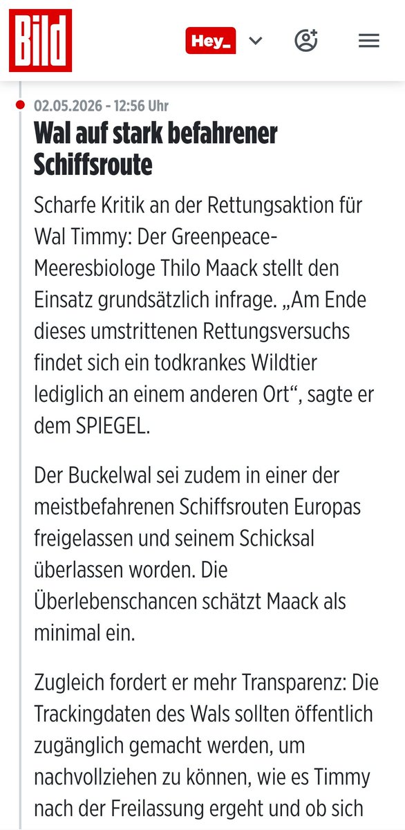 LillySanni2222's tweet photo. Noch so jemand mit 'Resthoffnung' #Maack #Greenpeace
#Hope
#Timmy
Meine Spenden gehen übrigens in den TierSCHUTZ https://t.co/UYDAul1Yqy