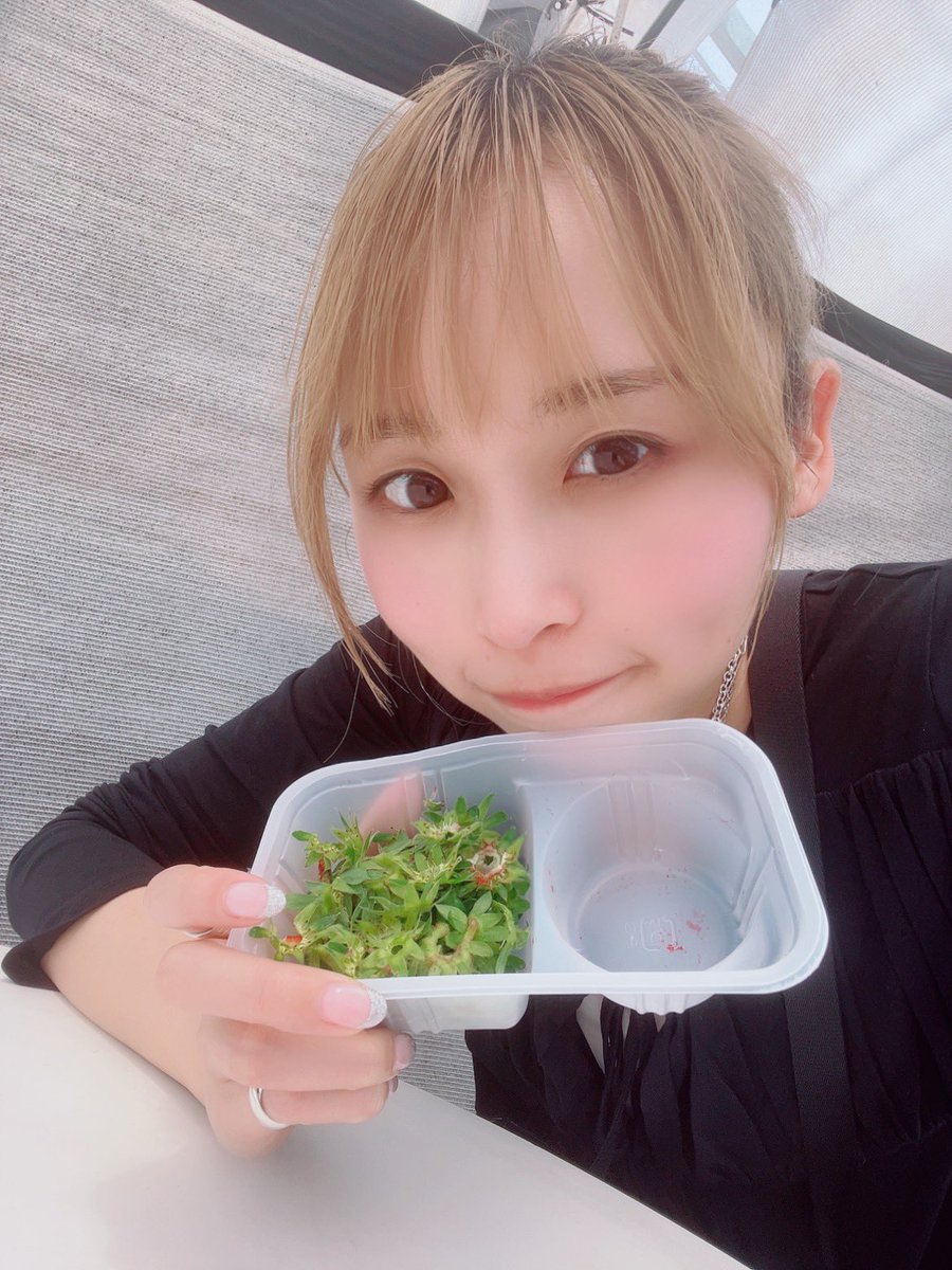 KANA🐰 (@KaNa__Py0N) / Posts / X