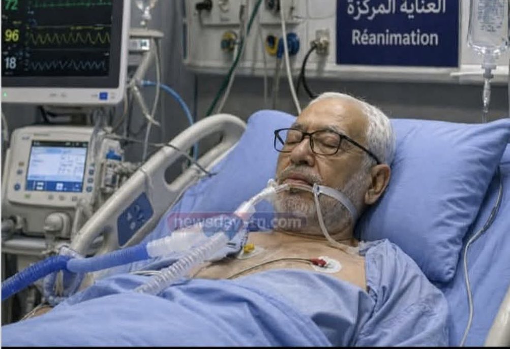 محمد المختار الشنقيطي tweet media