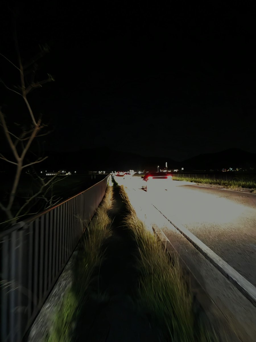 びいよん tweet media