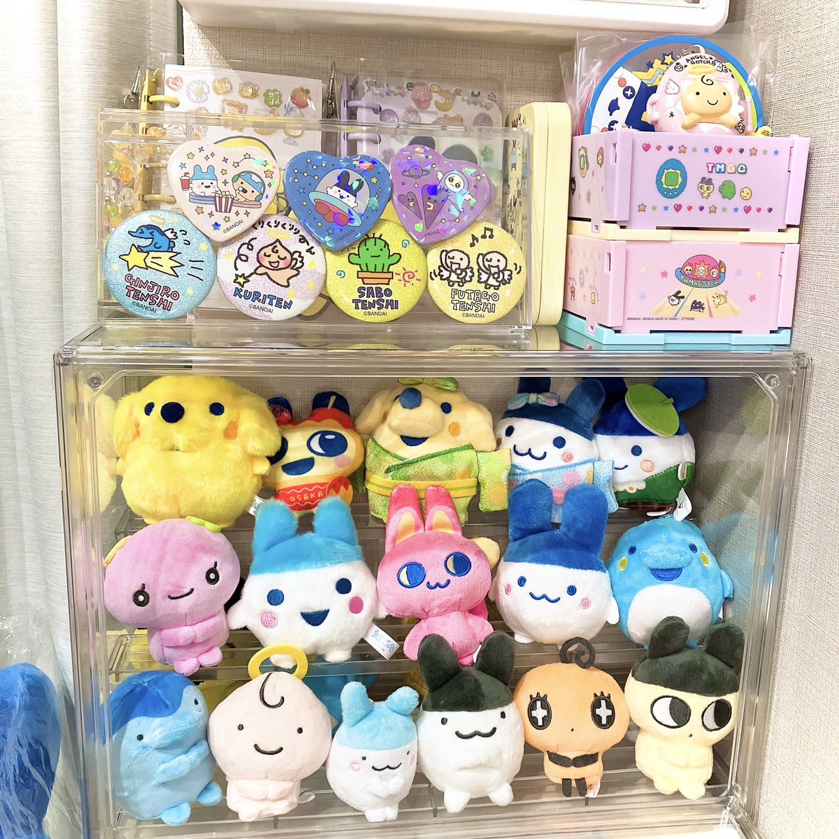 はーべすと🌼 tweet media