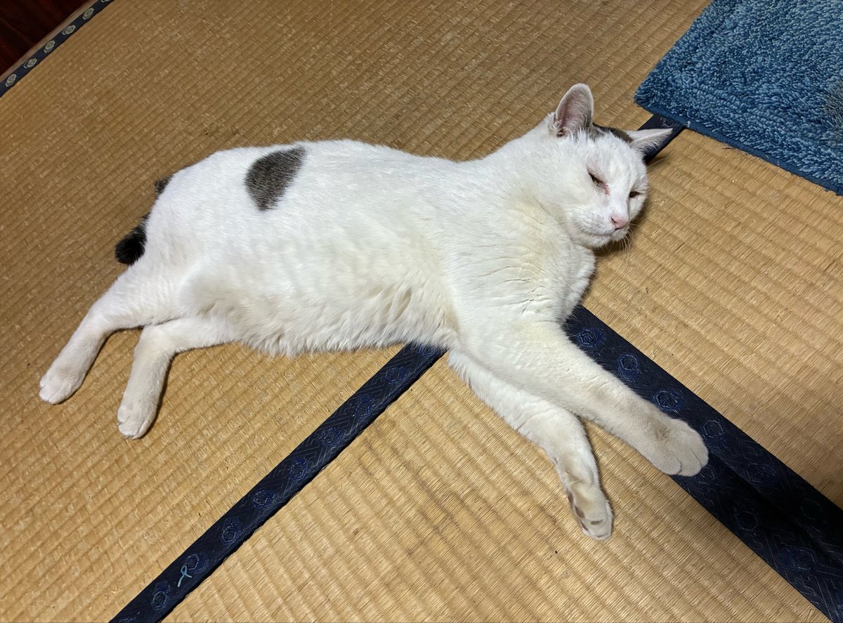 なかよし自販機コーナー tweet media