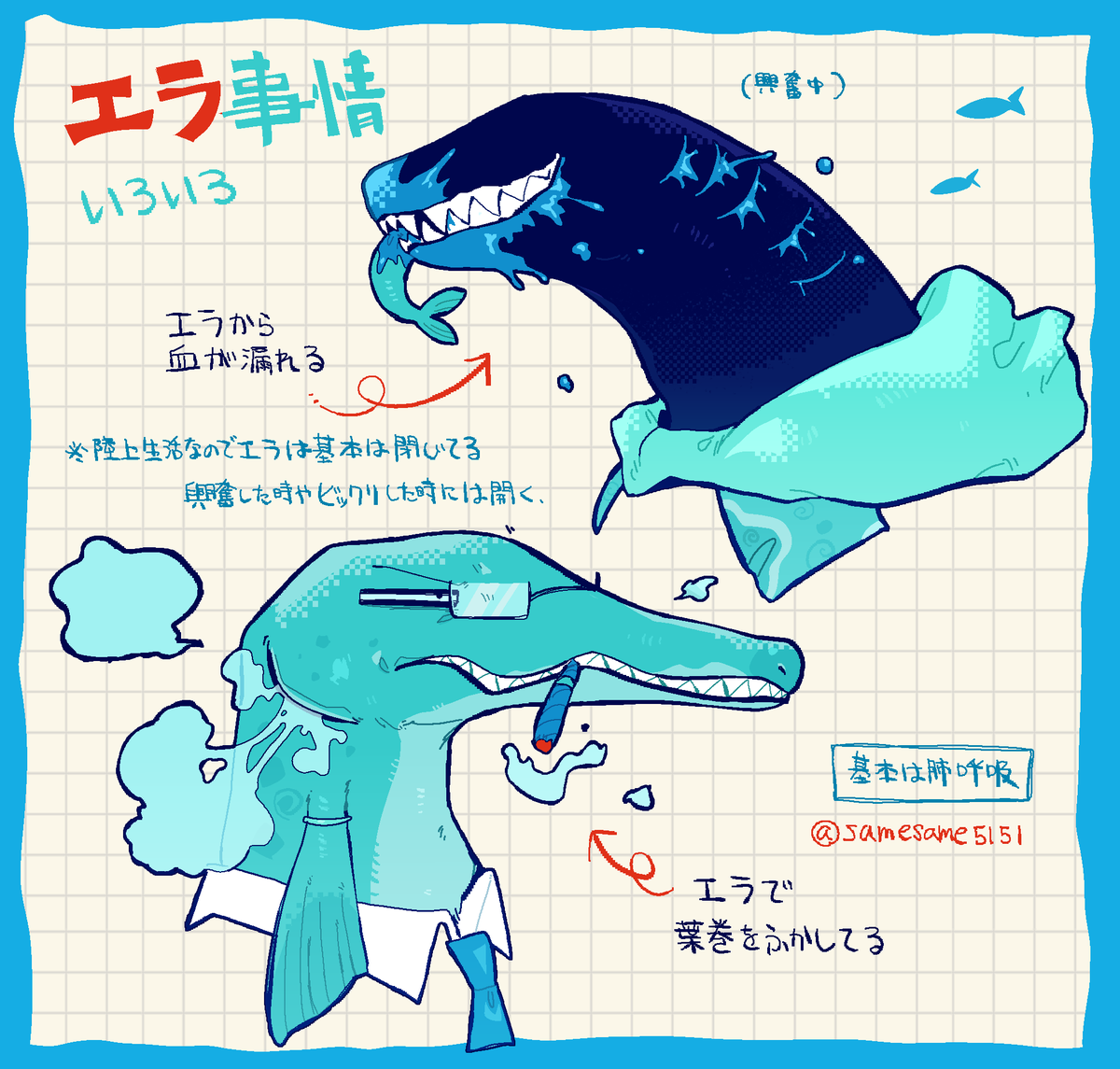 イルカ天国 tweet media