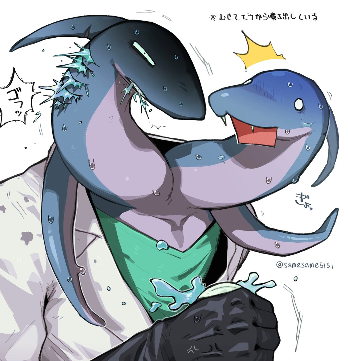 イルカ天国 tweet media