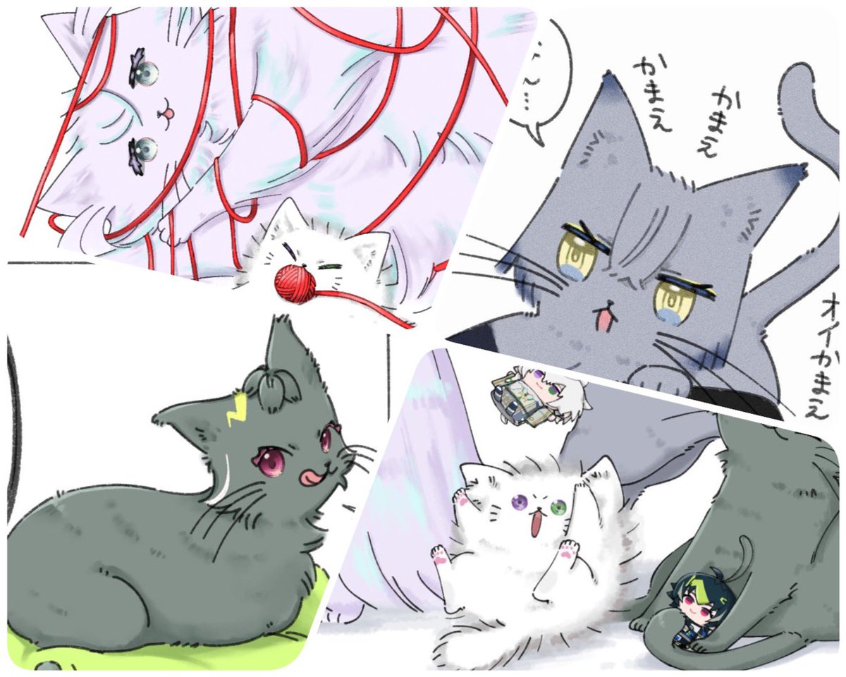 穹まめ@通販実施中 tweet media