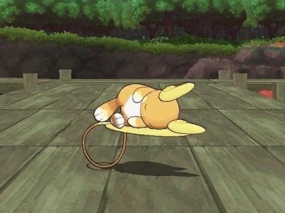 Pokémon Perfect Shots tweet media
