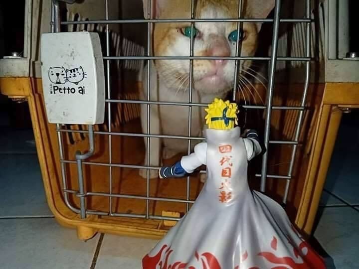 Daily Naruto tweet media