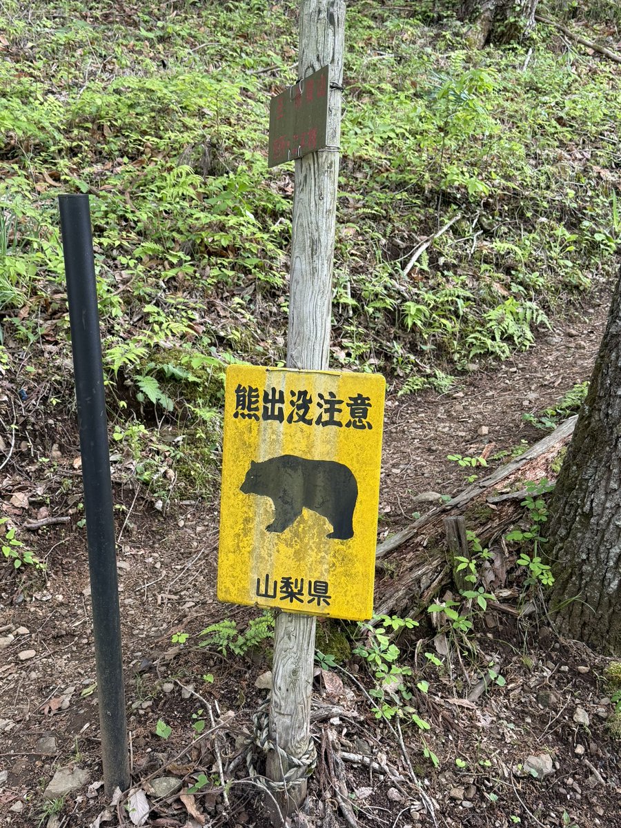 らばお老師 tweet media