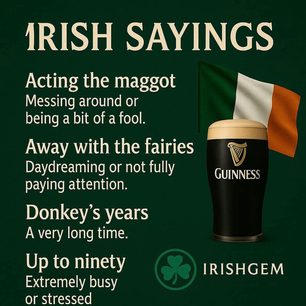 This is Ireland 🇮🇪☘️ tweet media