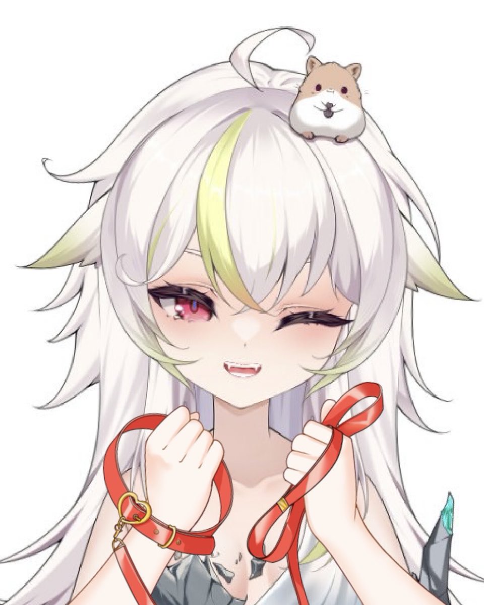 青コンのぷかこ tweet media