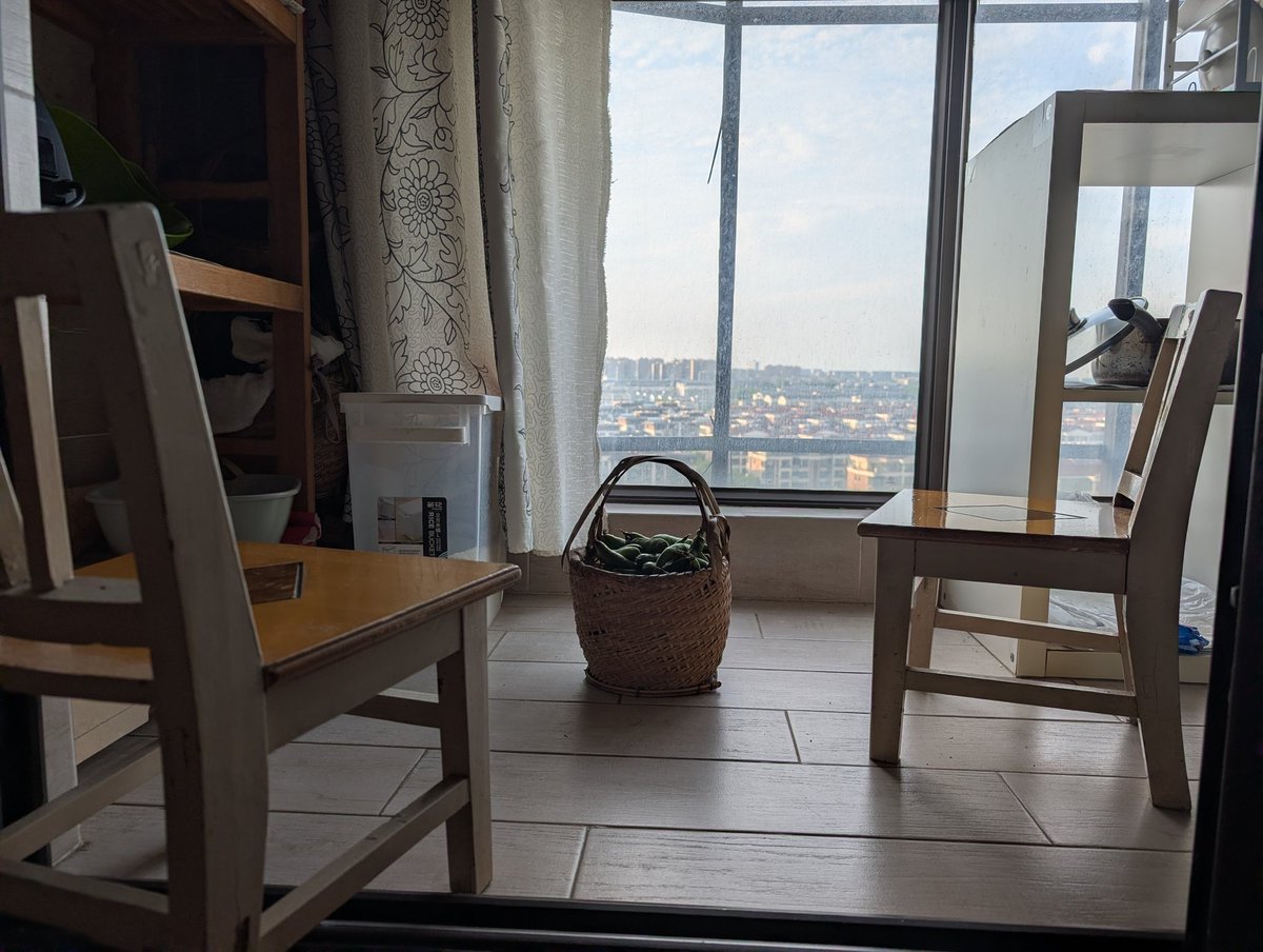 HaniZheng's tweet photo. 暮春時節,正是蚕豆上市之際。和老爸坐在陽台上剥豆子,仿佛回到了童年時光老屋的走廊上，好像總有剥不完的蚕豆總想快點剥完可以出去玩,現在却想慢點剥完可以和老爸多待一會兒😭 https://t.co/47bximHhb2