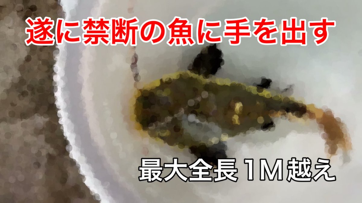 しー tweet media