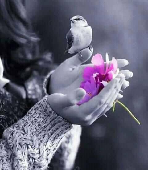 🇸🇦الهنوف🇸🇦 tweet media