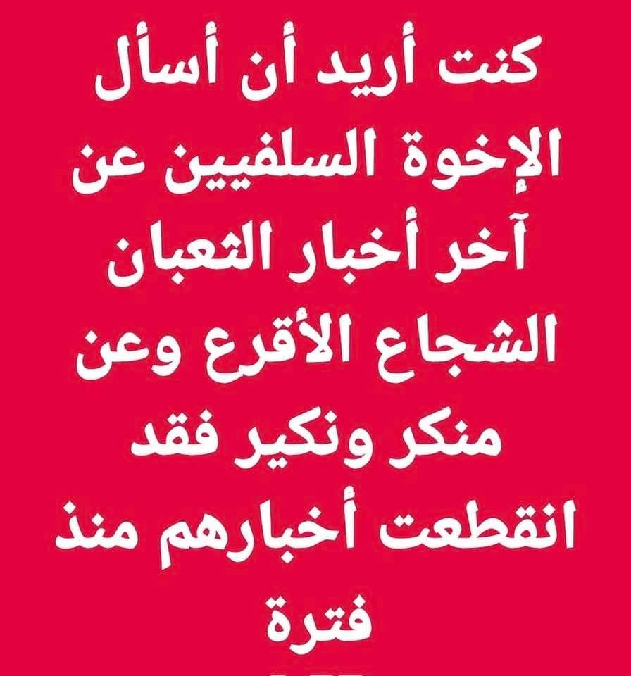 Eve Samo ⚛️🇦🇺 tweet media