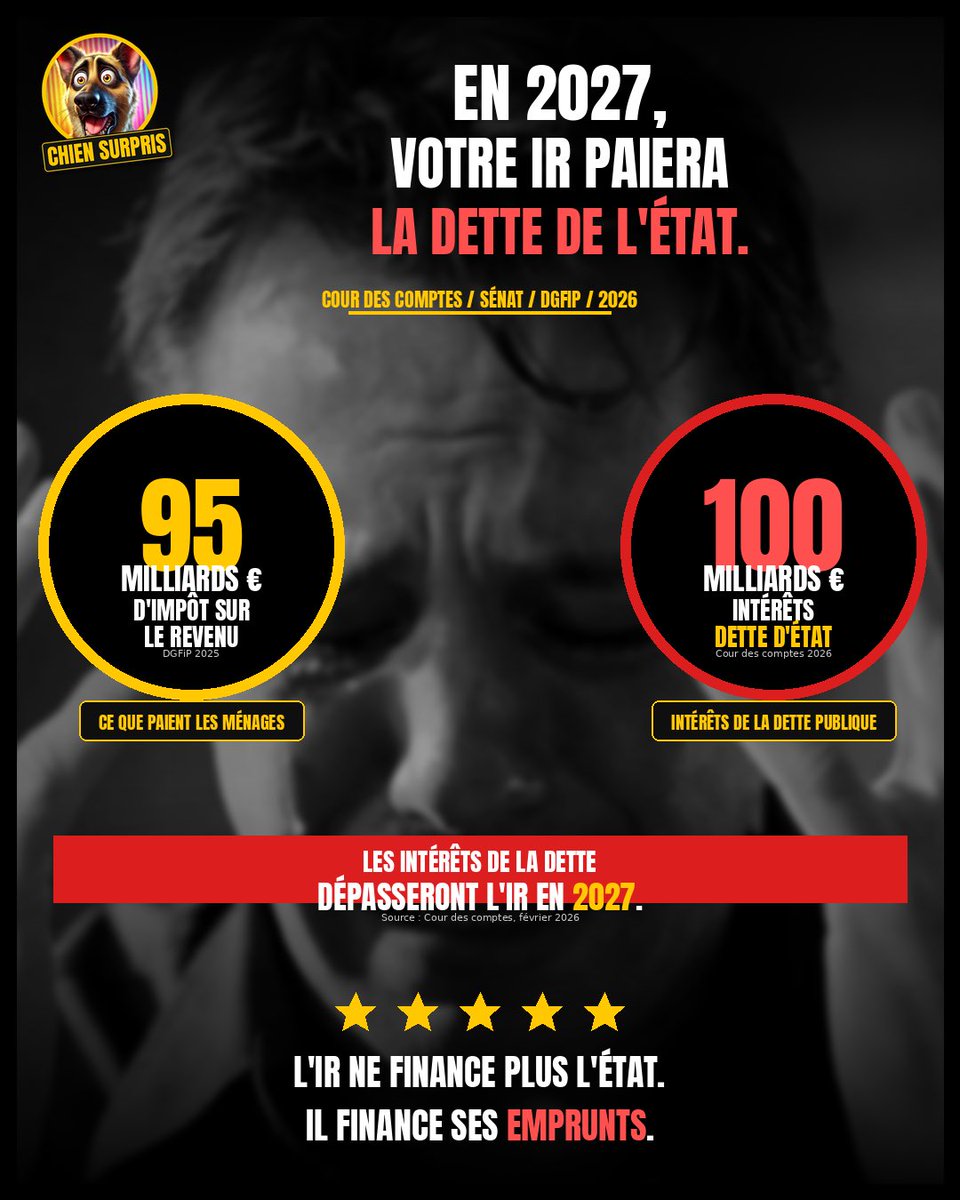 ChienSurpris tweet media