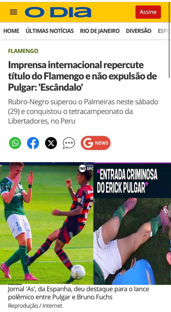 Catão🇳🇬🐷 tweet media
