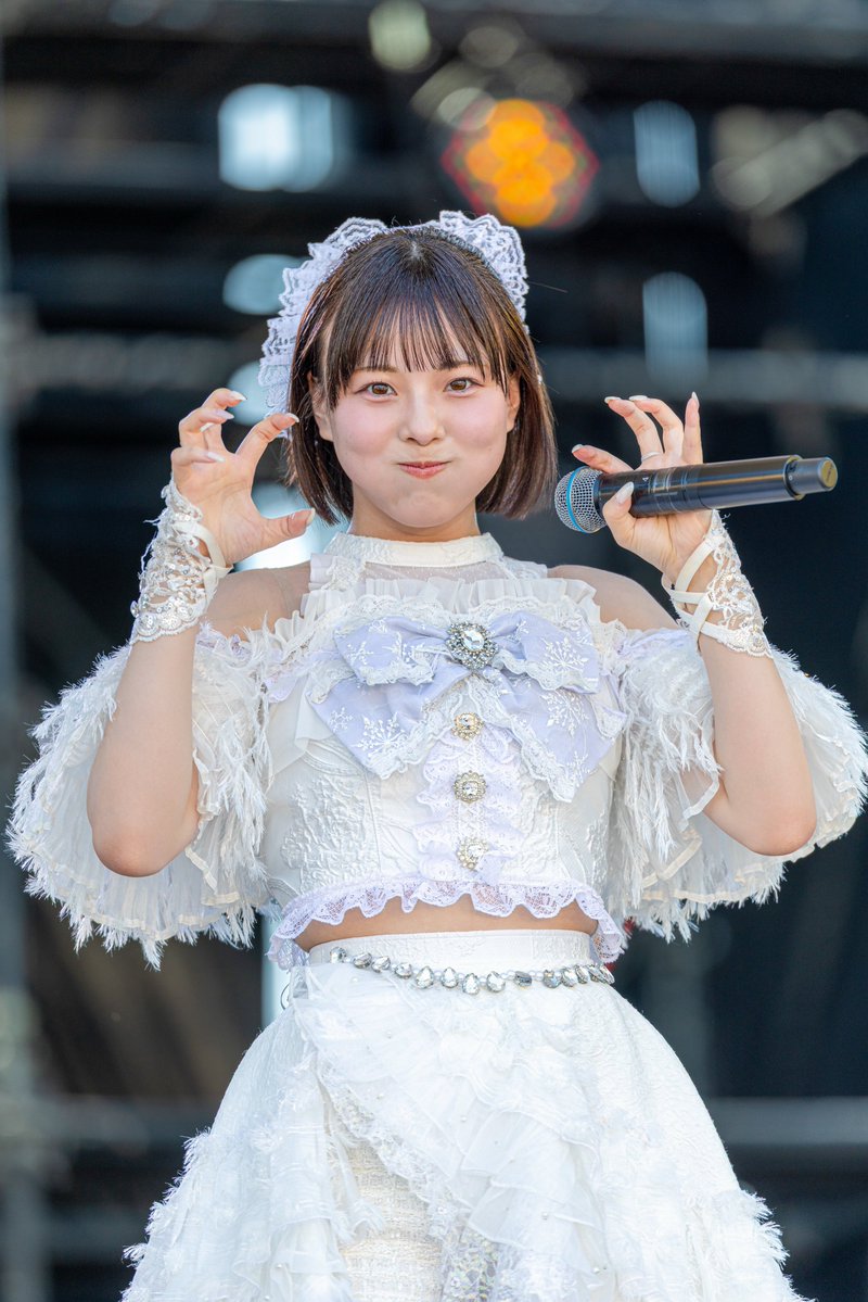ポールのうさぎ tweet media