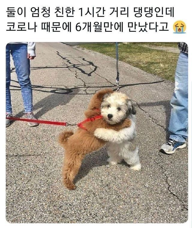 떠블샷 tweet media