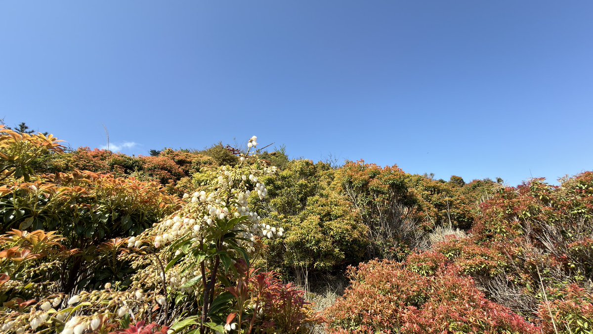 linux_k's tweet photo. 連休初日、晴れとの事で山友とトレーニングを兼ねて、行った事がない滋賀県の山へ行ってきました。
数回道を間違ってしまいましたが何とか登る事が出来ました😊
晴れてよかったです♪ https://t.co/SqPZ3lNiDA