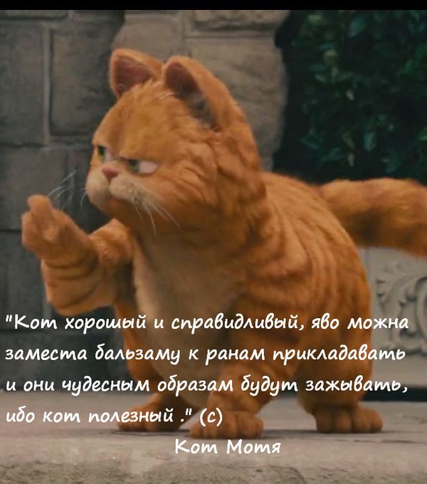 Пертурбация tweet media