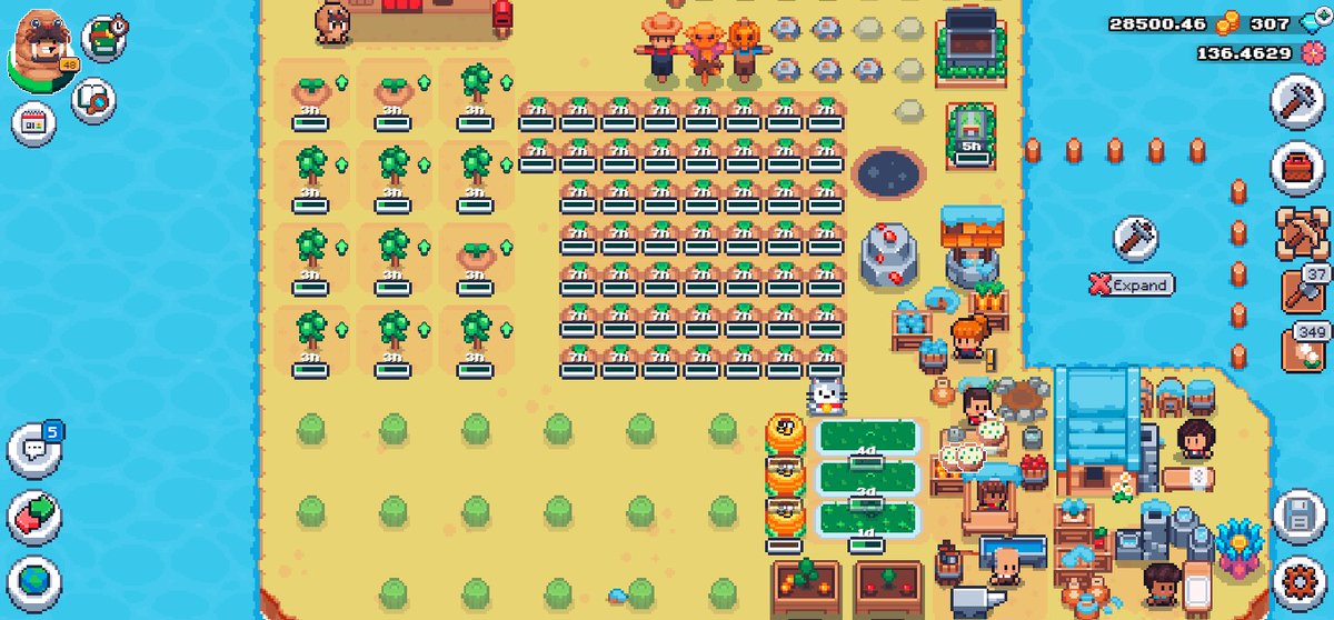 snail_image's tweet photo. #SunflowerLandFarm https://t.co/RyJE4Os3iI