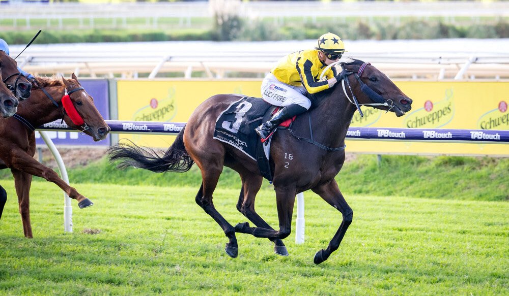 Fernie Racing tweet media