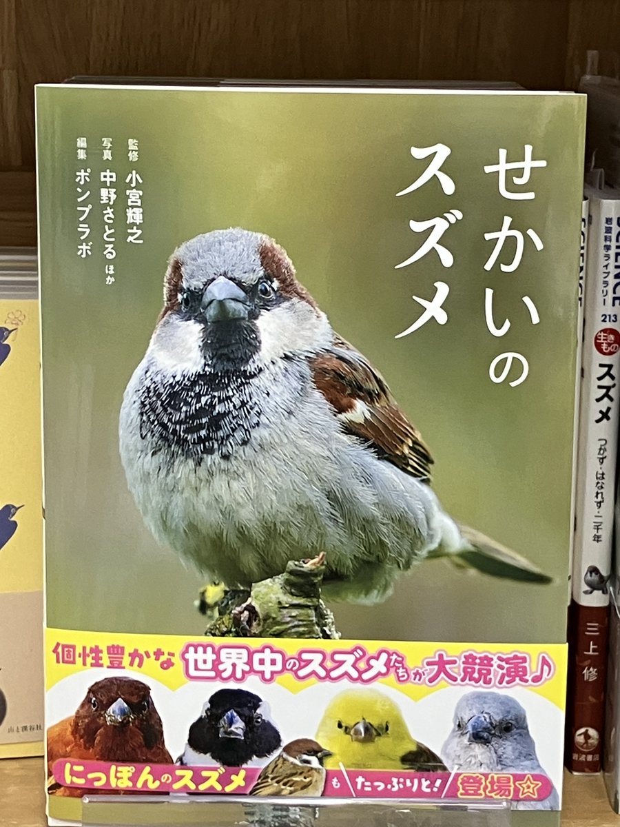新刊入荷】 『せかいのスズメ』（カンゼン）小宮輝之 監修 ポンプラボ