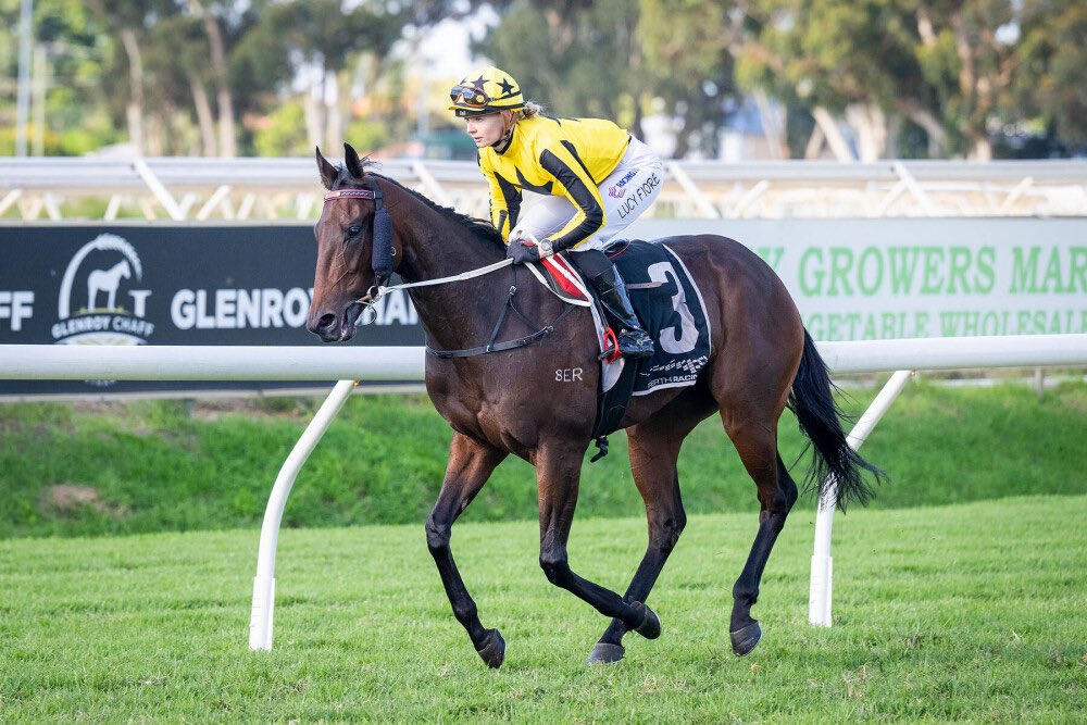 Fernie Racing tweet media