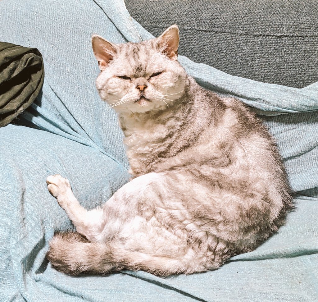 CatMachiningWorks@Cat㈱ tweet media