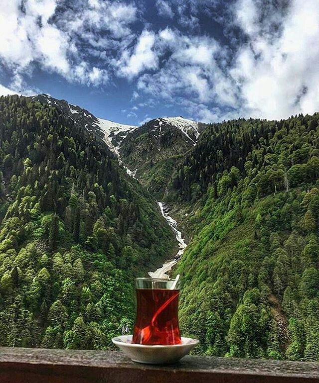 birteraphy's tweet photo. çay iyidir, çay güzeldir https://t.co/EFykzSbstp