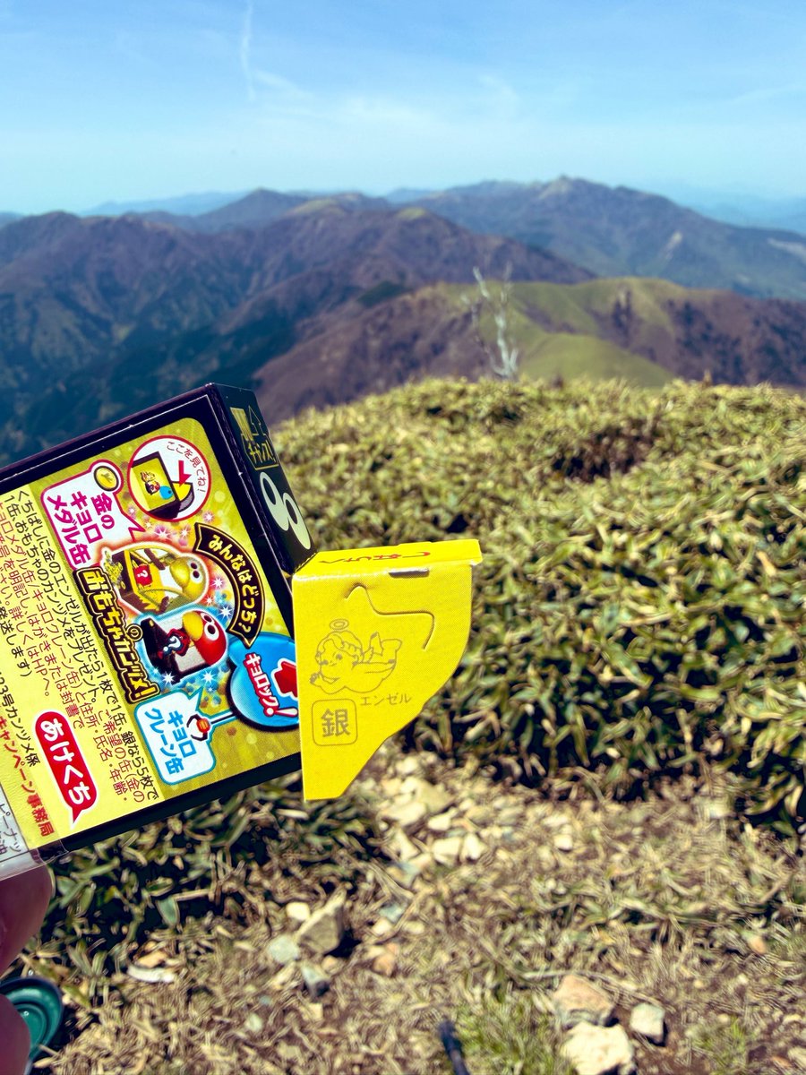 まめ大福 tweet media