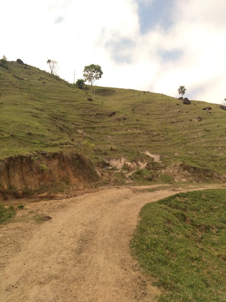 danixkov's tweet photo. Bom dia! Bora curtir o sábado caminhando e curtindo a paisagem 💚 https://t.co/eSFhovhtVW